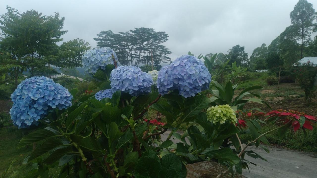 Karleta Homestay Ruteng Exterior foto